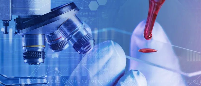 凯发K8国际网络+银丰生物集团 打造科研创新“加速度”